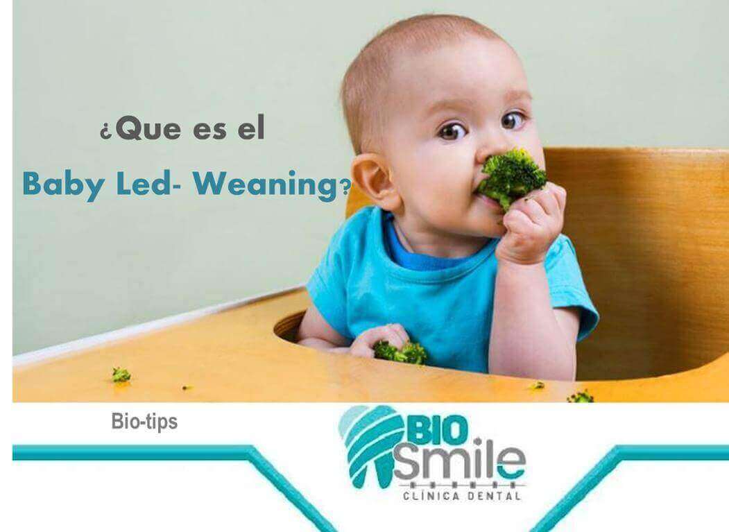 Sabes de que trata el baby led weanning